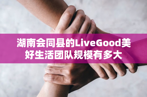 湖南会同县的LiveGood美好生活团队规模有多大