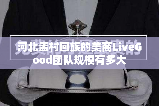 河北孟村回族的美商LiveGood团队规模有多大