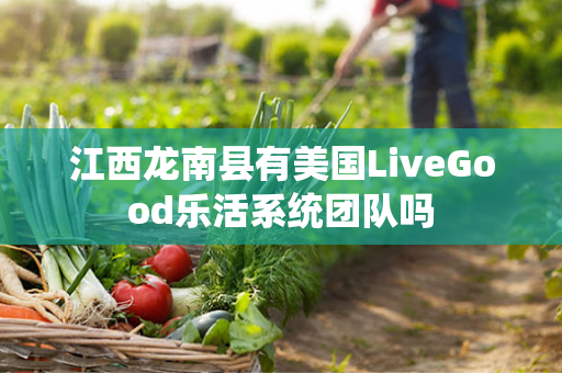 江西龙南县有美国LiveGood乐活系统团队吗